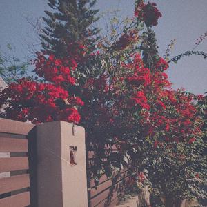 欧美老奶奶爱操逼
